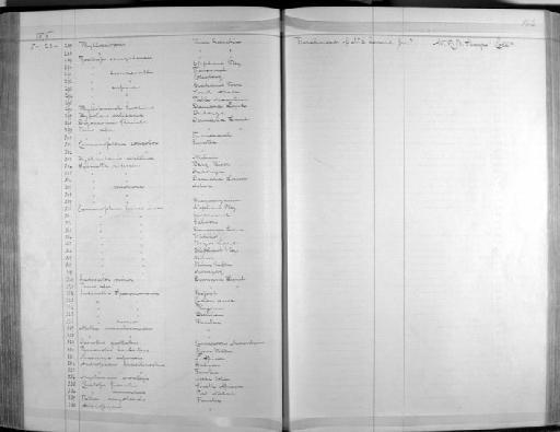 Apalis flavida flavida (Strickland, 1853) - Zoology Accessions Register: Aves (Skins): 1874 -1880: page 162