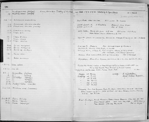 Brycon falcatus Müller & Troschel, 1844 - Zoology Accessions Register: Fishes: 1986 - 1994: page 1