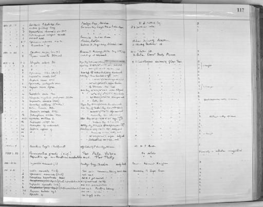 Amphiura simonsi A.M. Clark, 1952 - Zoology Accessions Register: Echinodermata: 1935 - 1984: page 117