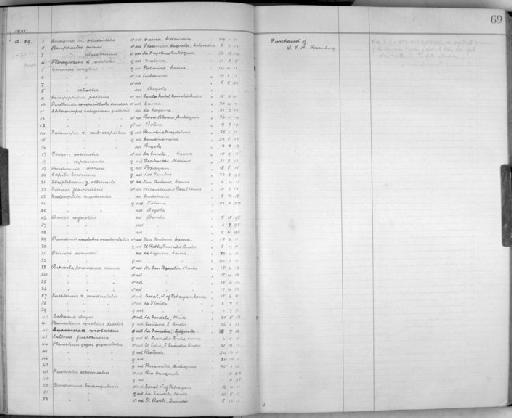 Piculus rubiginosus gularis (Hargitt, 1889) - Zoology Accessions Register: Aves (Skins): 1921 - 1923: page 69