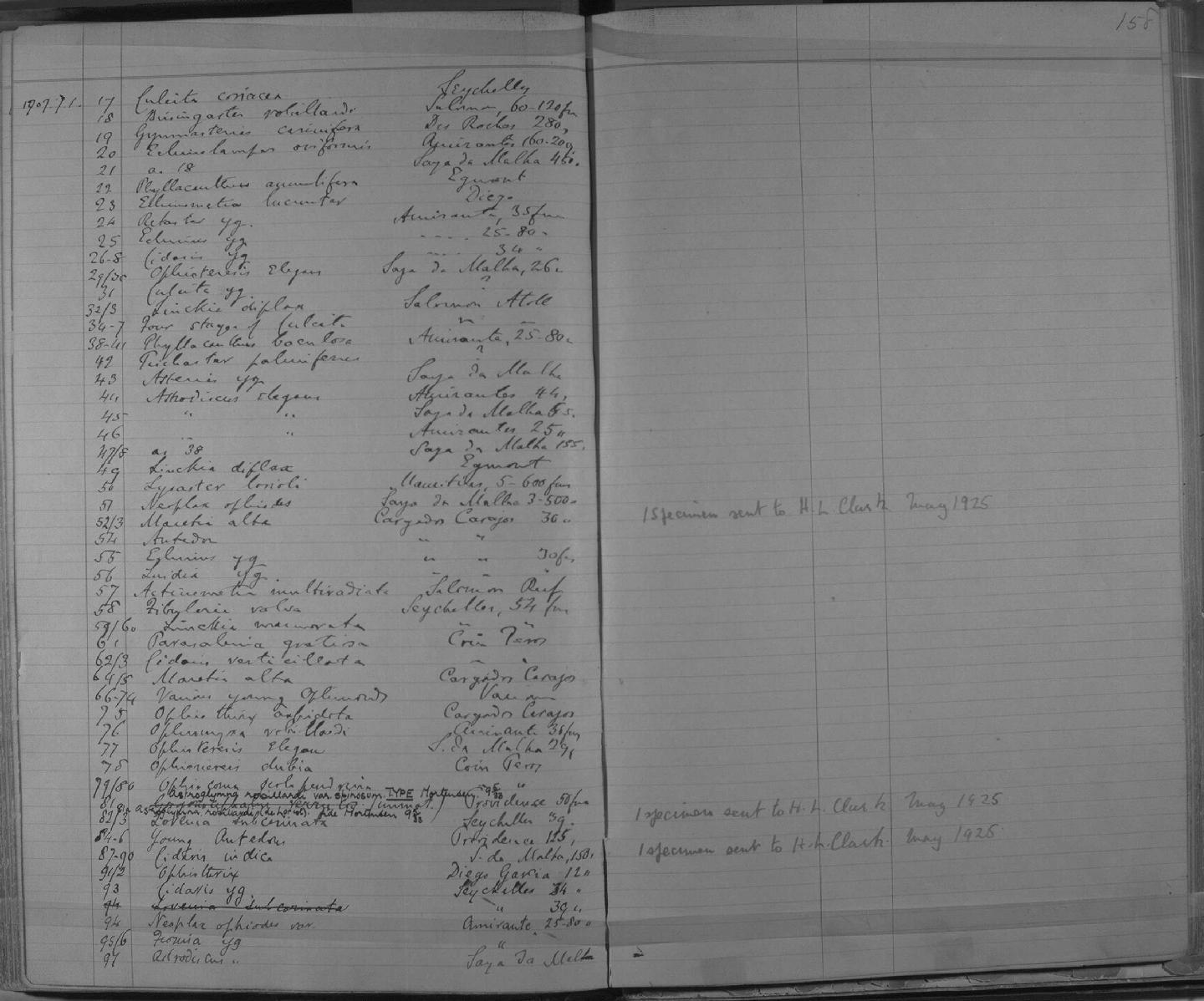 Zoology Accessions Register: Annelida & Echinoderms: 1884 - 1923: page 158