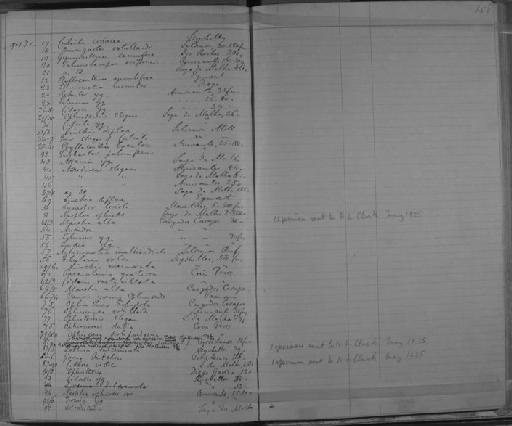 Lysaster lorioli Bell, 1909 - Zoology Accessions Register: Annelida & Echinoderms: 1884 - 1923: page 158