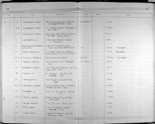 Steganoderma (Lecithostahylus) gibsoni - Zoology Accessions Register: Platyhelminth: 1987 - 1993: page 184