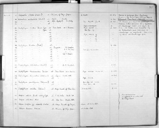 Iodictyum willeyi Harmer, 1934 - Zoology Accessions Register: Bryozoa: 1922 - 1949: page 83