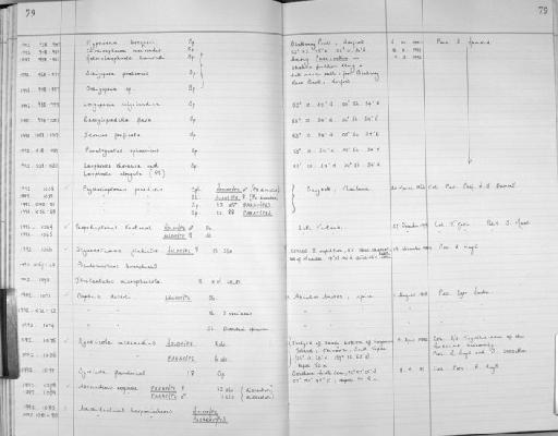 Styracothorax gladiator Huys, 1993 - Zoology Accessions Register: Crustacea (Entomostraca): 1982 - 1993: page 79