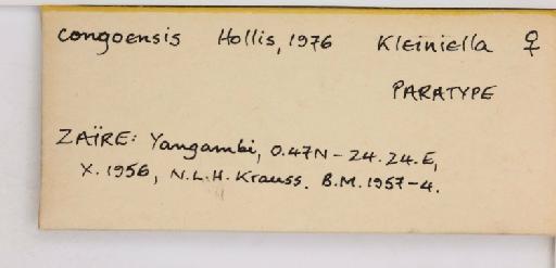 Kleiniella congoensis Hollis, 1976 - 013482904_additional