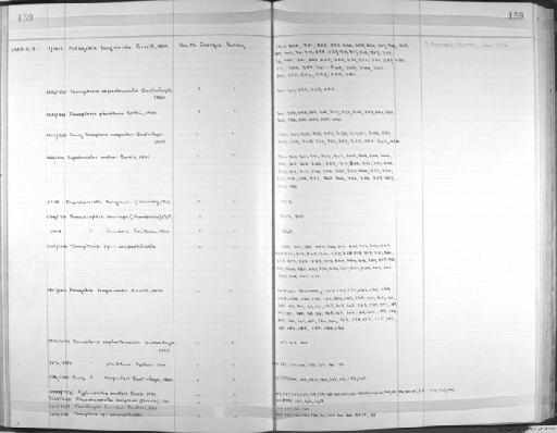 Rhynchonerella bongraini (Graviel) - Zoology Accessions Register: Annelida: 1936 - 1970: page 159