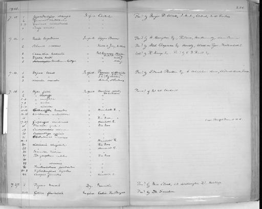 Xenocara multispinis Regan, 1912 - Zoology Accessions Register: Reptiles & Fishes: 1904 - 1925: page 231