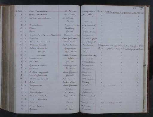 Pinna - NHM-UK_P_DF118_06_01_0511