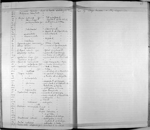 Haplochilus moeruensis Boulenger, 1914 - Zoology Accessions Register: Fishes: 1912 - 1936: page 87