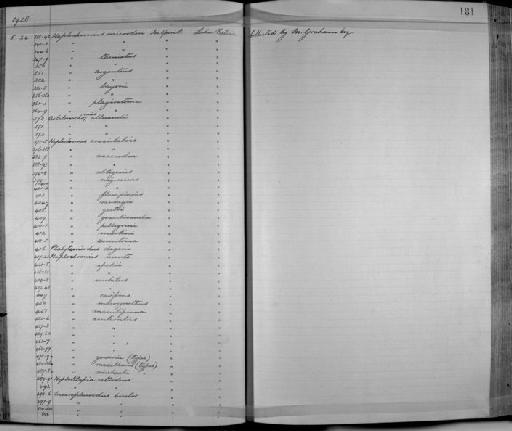 Haplochromis maxillaris Trewavas, 1928 - Zoology Accessions Register: Fishes: 1912 - 1936: page 181