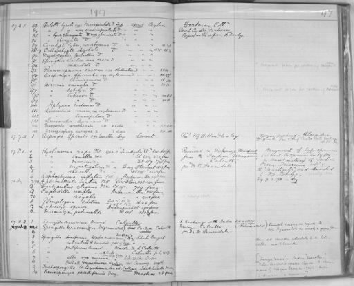 Spongilla crassior Annandale, 1907 - Zoology Accessions Register: Spongiida & Protozoa: 1887 - 1918: page 97
