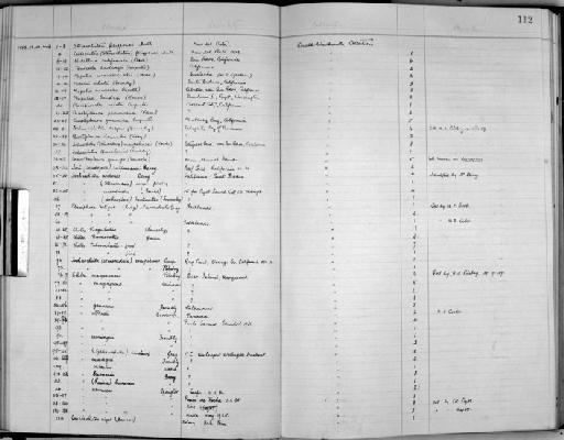 Chiton (Sypharochiton) sinclairi Gray - Zoology Accessions Register: Mollusca: 1938 - 1955: page 112