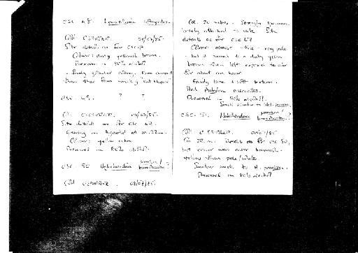 Raspailia (Raspailia) ramosa (Montagu, 1814) - notes on CSC 31 to 70 (8).jpg
