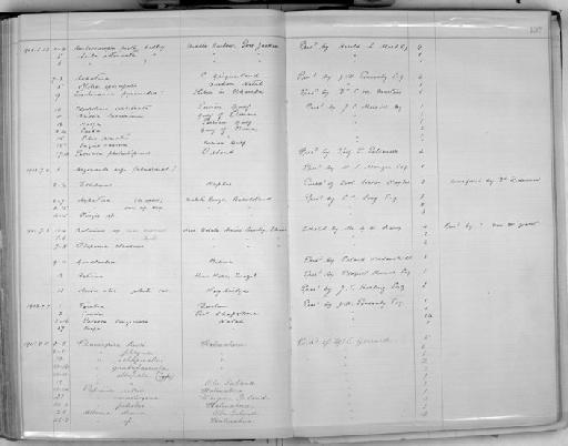 Otopoma clausum Benson, 1859 - Zoology Accessions Register: Mollusca: 1900 - 1905: page 137