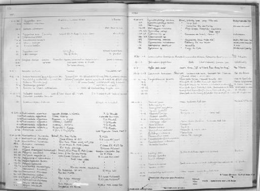 Brotula sp - Zoology Accessions Register: Fishes: 1971 - 1985: page 327