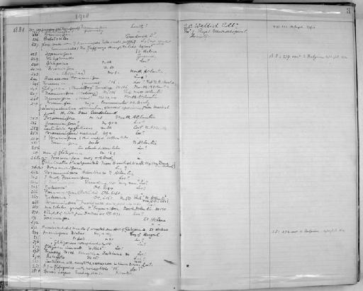 Orbitolites - Zoology Accessions Register: Spongiida: 1918 - 1928: page 3