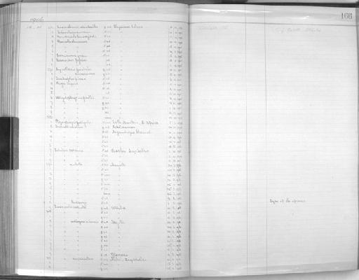 Hirundo fuligula fuligula - Zoology Accessions Register: Aves (Skins): 1906 - 1908: page 166