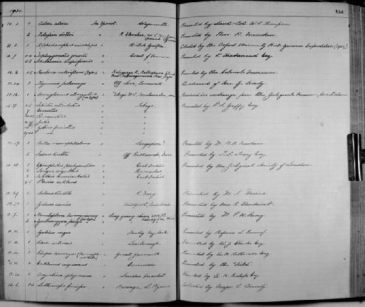 Rasbora vaterifloris Deraniyagala, 1930 - Zoology Accessions Register: Fishes: 1912 - 1936: page 226