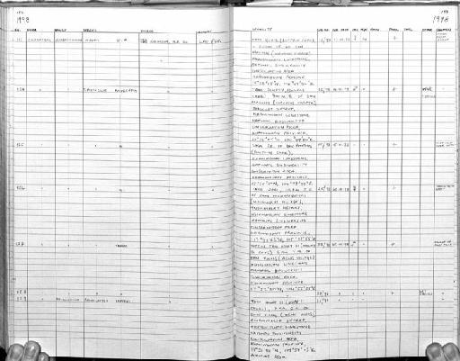 Myotis sp. - MA24 Mammal register scan