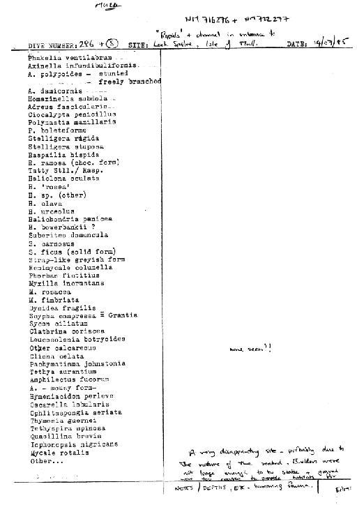 Leucosolenia botryoides (Ellis & Solander, 1786) - Spurrier Mull notes 8 (CSC 47 to 67).jpg