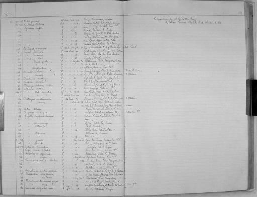 Gazella dorcas littoralis - Zoology Accessions Register: Mammals: 1937 - 1951: page 137