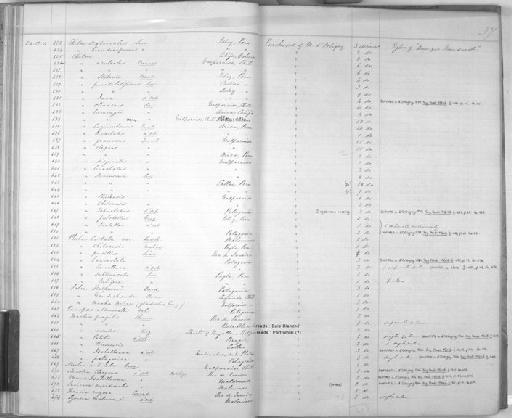 Mactra patagonica subterclass Euheterodonta d'Orbigny, 1846 - Zoology Accessions Register: Mollusca: 1854 - 1857: page 37