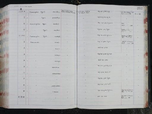 Marmorerpeton Evans et al., 1988 - NHM-UK_P_DF118_03_24_0589