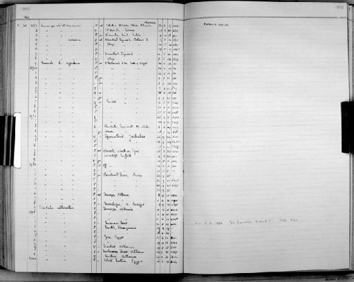 Muscicapa striata balearica von Jordans, 1913 - Bird Group Collector Register: Aves - Witherby Collection & Ticehurst Collection: 1934 - 1941: page 282