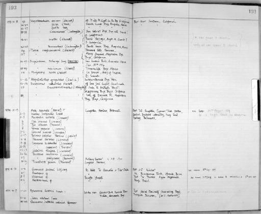 Gelasimus subsection Thoracotremata section Eubrachyura Latreille, 1817 - Zoology Accessions Register: Crustacea: 1935 - 1962: page 193