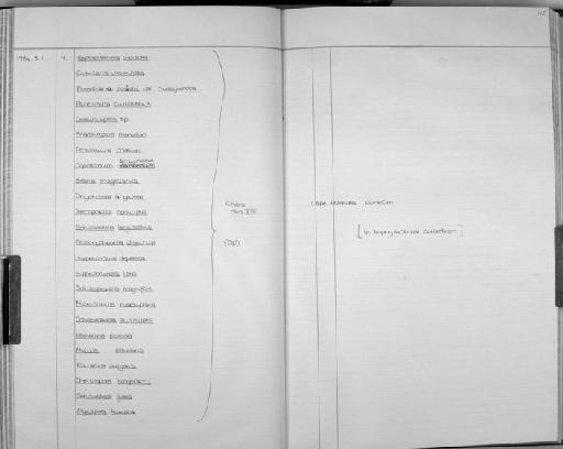 Cribrilaria innominata - Zoology Accessions Register: Bryozoa: 1971 - 1986: page 115