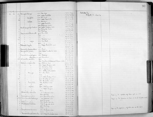 Calamonastes katangae Neave, 1909 - Zoology Accessions Register: Aves (Skins): 1909 - 1911: page 80