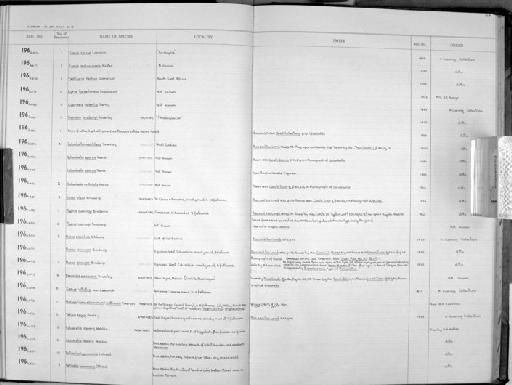 Conus cervus Lamarck - Zoology Accessions Register: Mollusca: 1962 - 1969: page 158