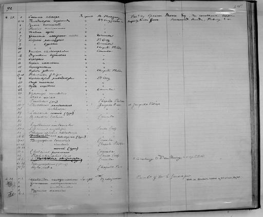 Plecostomus latirostris Regan, 1904 - Zoology Accessions Register: Reptiles & Fishes: 1878 - 1892: page 405