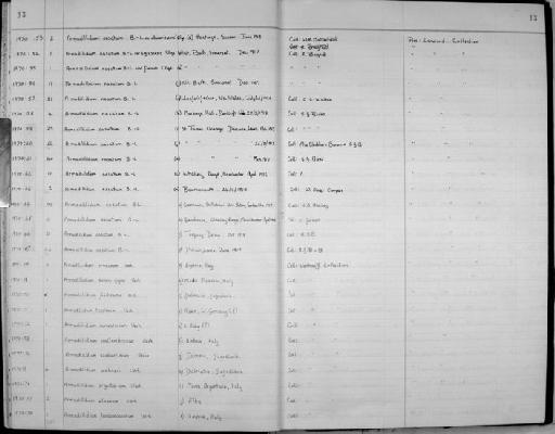 Armadillidium nasatum Budde-Lund, 1885 - Zoology Accessions Register: Crustacea: 1969 - 1976: page 13