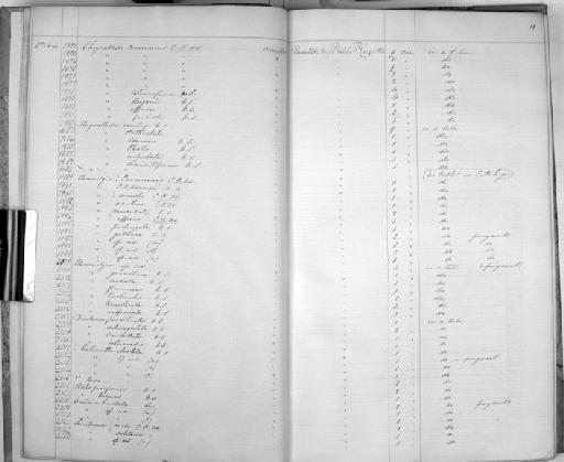 Odostomia (Chrysallida) fasciata Carpenter, 1857 - Zoology Accessions Register: Mollusca: 1857 - 1860: page 11