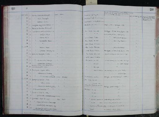 Globorotalia colligera (Schwager) - NHM-UK_P_DF118_04_06_0119