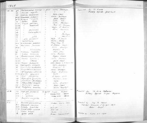 Chromidotilapia guntheri (Sauvage, 1882) - Zoology Accessions Register: Fishes: 1937 - 1960: page 102