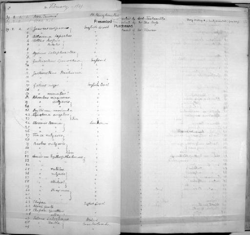 Leuciscus albulus - Zoology Accessions Register: Mammals: 1838 - 1840: page 44