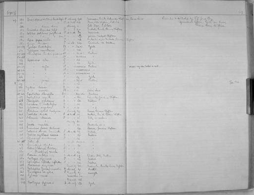 Papio anubis - Zoology Accessions Register: Mammals: 1937 - 1951: page 169