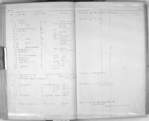 Hipposideros cervinus labuanensis Tomes, 1859 - Zoology Accessions Register: Mammals: 1904 - 1910: page 141