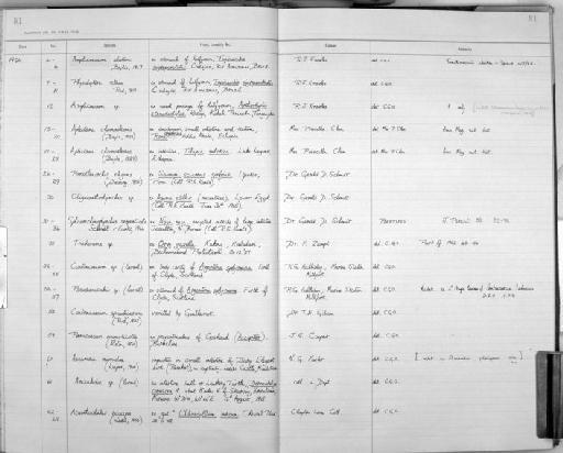 Amplicaecum alatum Baylis, 1947 - Zoology Accessions Register: Aschelminth N3: 1954 - 1977: page 81