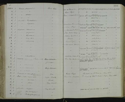 Liparoceras subhenleyi Spath, 1938 - NHM-UK_P_DF118_06_29_0151