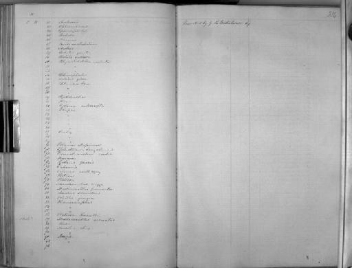 Chatoessus chacunda altior Günther, 1868 - Zoology Accessions Register: Mammals: 1854 - 1861: page 214