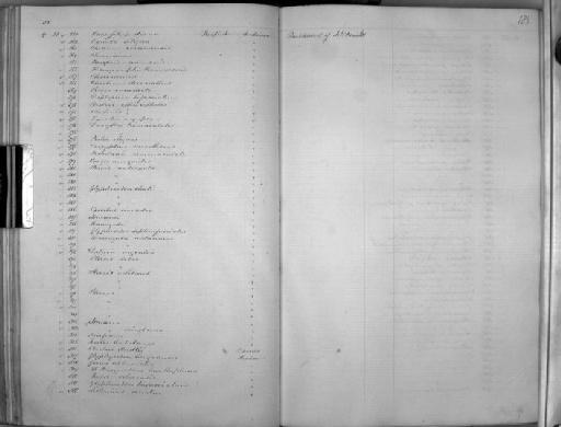 Glyphisodon thali - Zoology Accessions Register: Mammals: 1854 - 1861: page 185