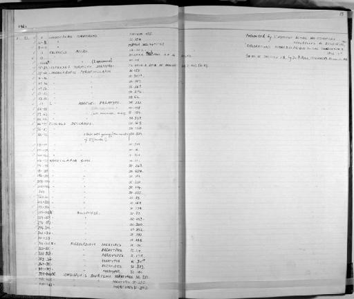 Limnochromis abeelei Poll, 1949 - Zoology Accessions Register: Fishes: 1961 - 1971: page 15