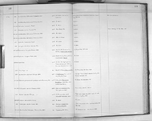 Crucigera tricornis Gravier, 1906 - Zoology Accessions Register: Polychaeta: 1967 - 1989: page 119