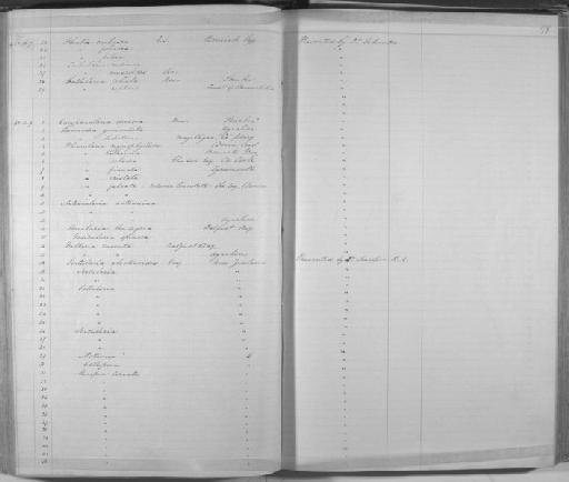 Thuiaria zelandica Gray, 1843 - Zoology Accessions Register: Mollusca: 1842 - 1843: page 179