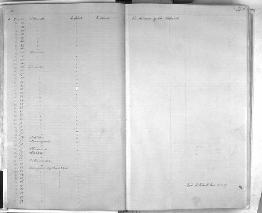 Mormyrus caschive Linnaeus, 1758 - Zoology Accessions Register: Mammals: 1861 - 1890: page 36