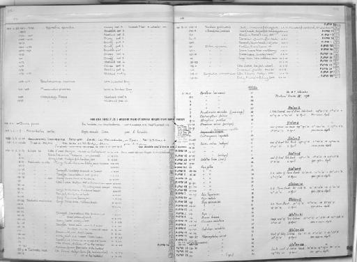 Brosme brosme Ascanius, 1772 - Zoology Accessions Register: Fishes: 1971 - 1985: page 277